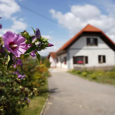 House Of Culture And Nature - Hisa Kulture In Nature Zagradec