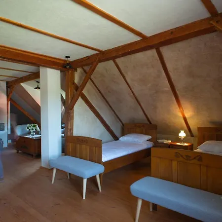 House Of Culture And Nature - Hisa Kulture In Nature Hébergement de vacances Zagradec